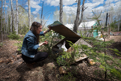 Photo : Environnement Vert Plus